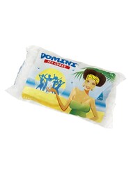 IJsblokjes Domini 5x2,5kg