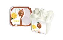 Domini Italiaans ijs Citroen 12x150ml