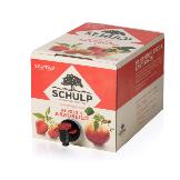 Schulp Sap-Tap Appel-Aardbei 5 L