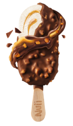 Domini Caramel Salt. Alm.NewZealand Honey 20x90ml